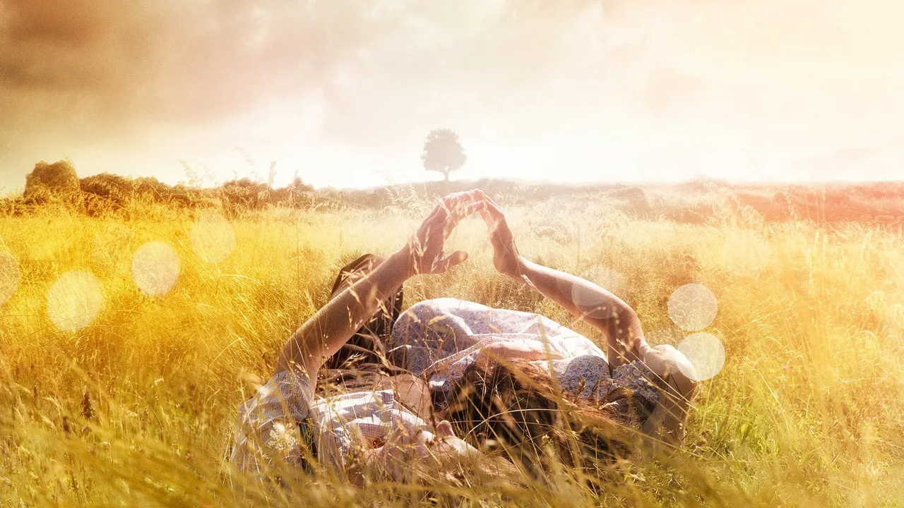 The History of Love (2016)