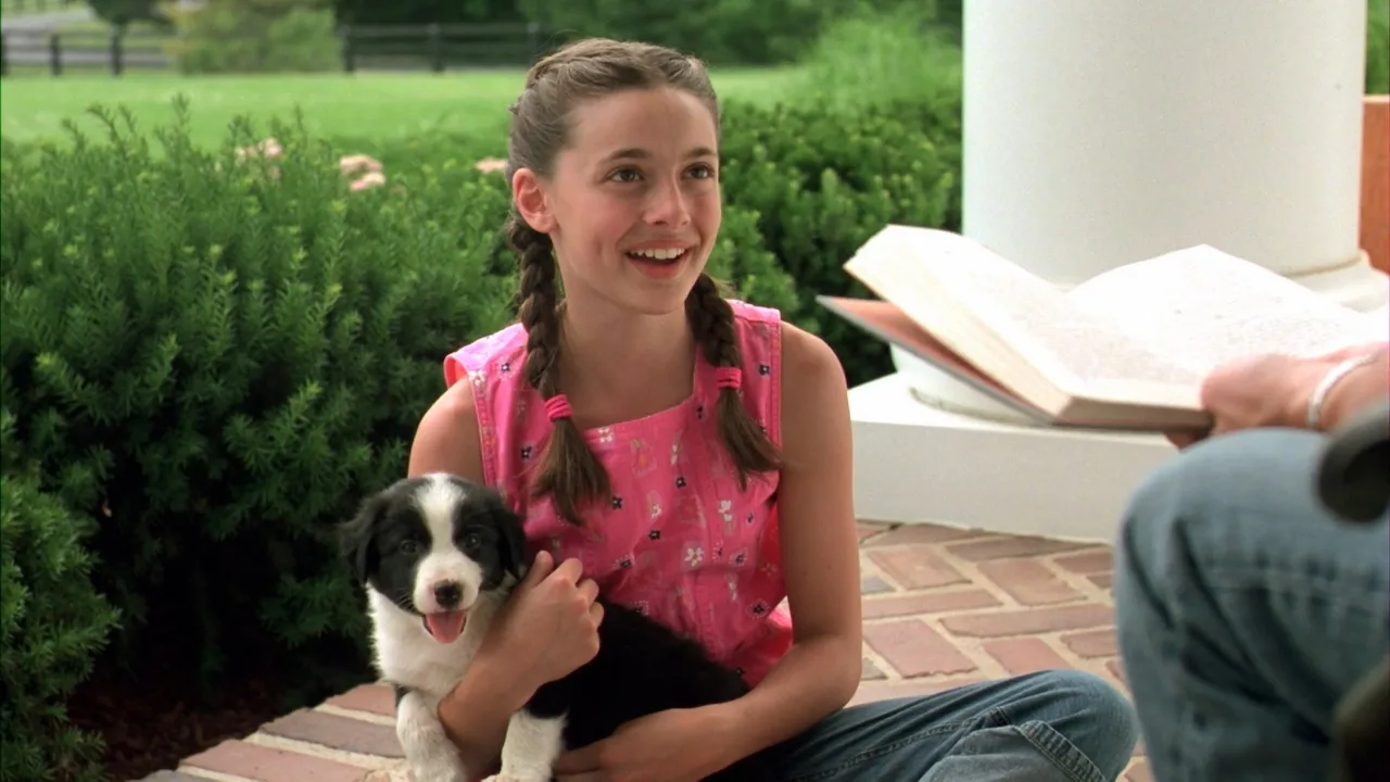 All Roads Lead Home (2008)
