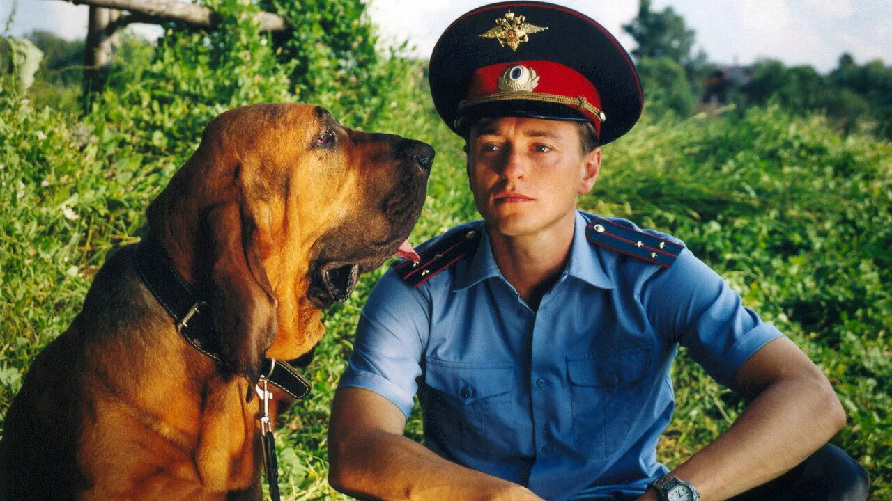 Region (2003)