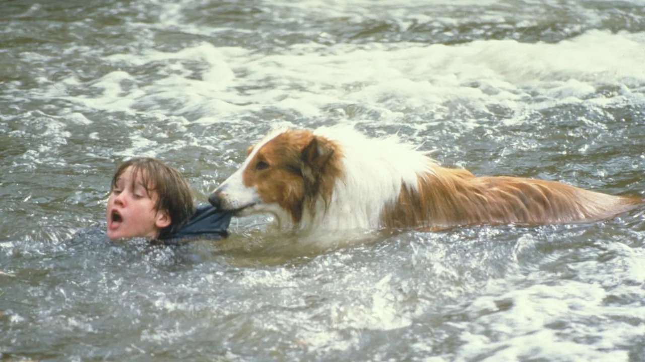 Lassie (1994)