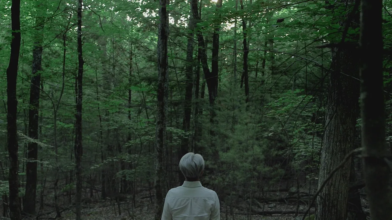 Ryuichi Sakamoto: CODA (2017)