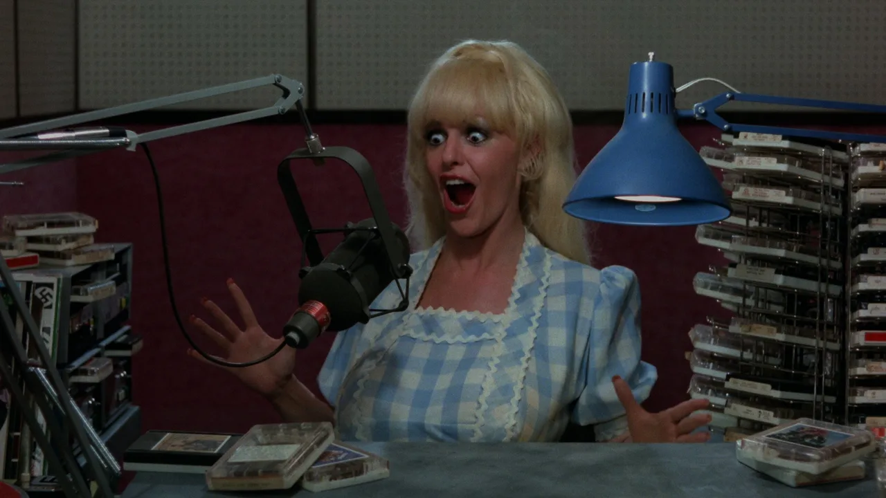 Beneath the Valley of the Ultra-Vixens (1979)
