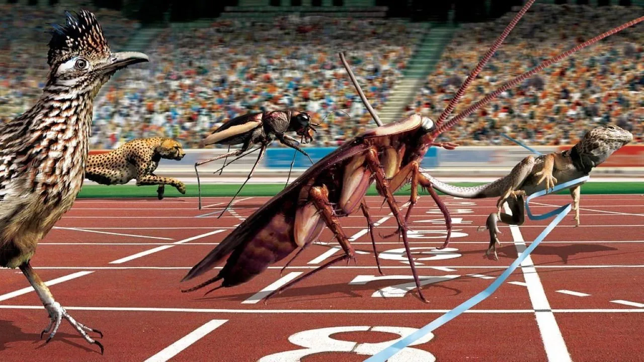 Animal Games (2004)