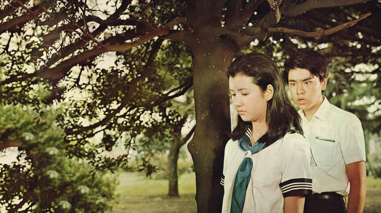 High School Affair (1970)