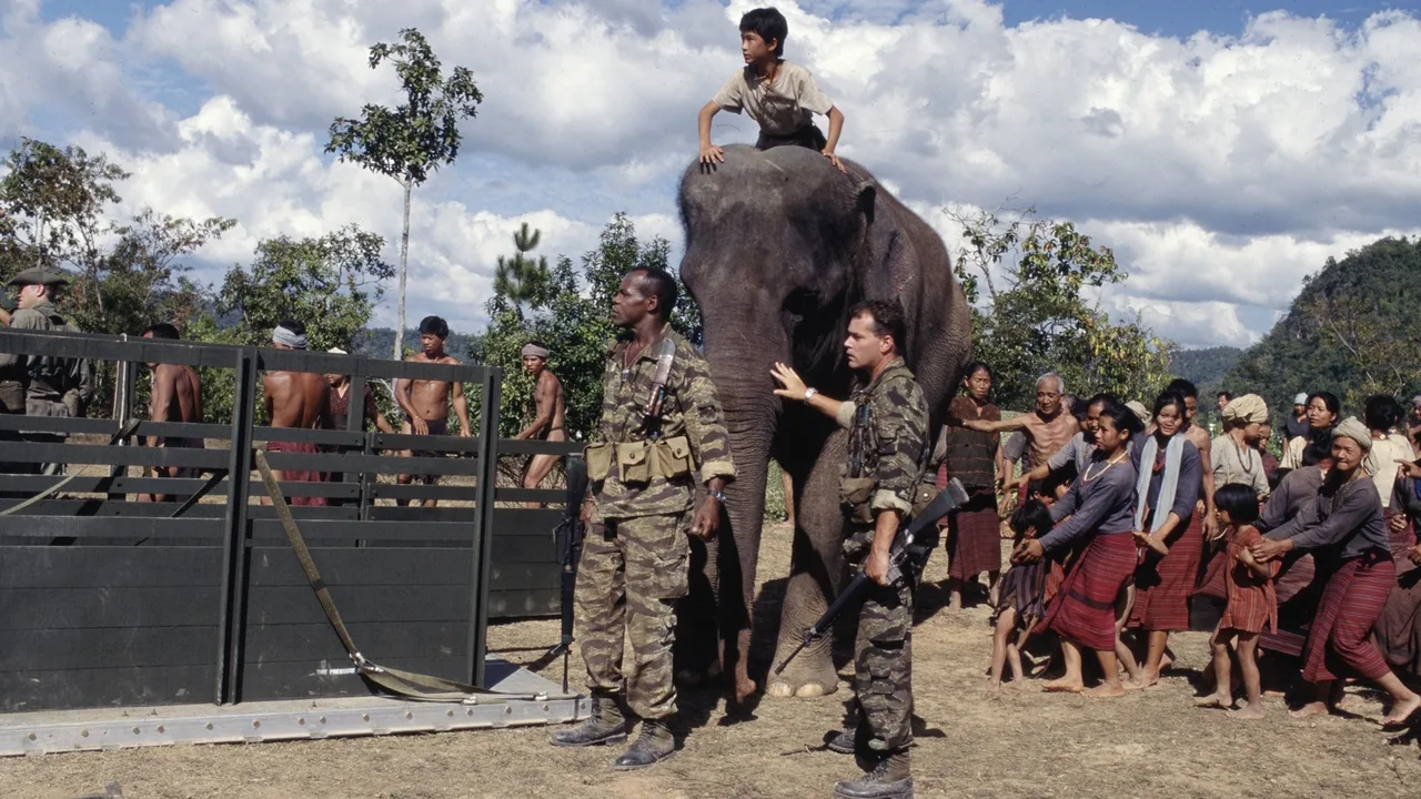 Operation Dumbo Drop (1995)
