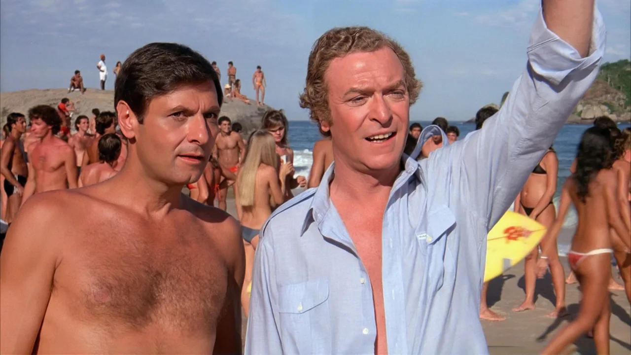 Blame It on Rio (1984)