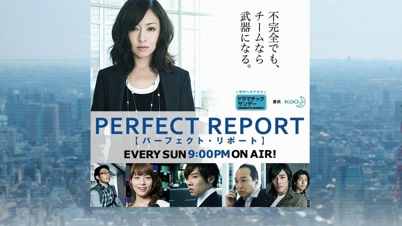 Perfect Report (2010)