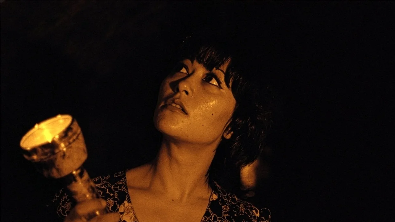 The Element of Crime (1984)