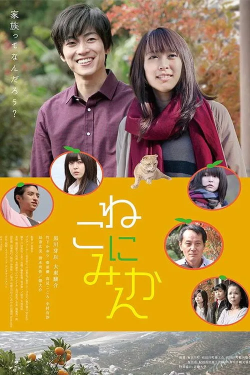 Tangerines on Cat (2014)