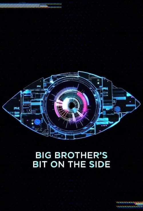 Big Brother's Bit on the Side (2011)