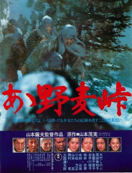 Nomugi Pass (1979)