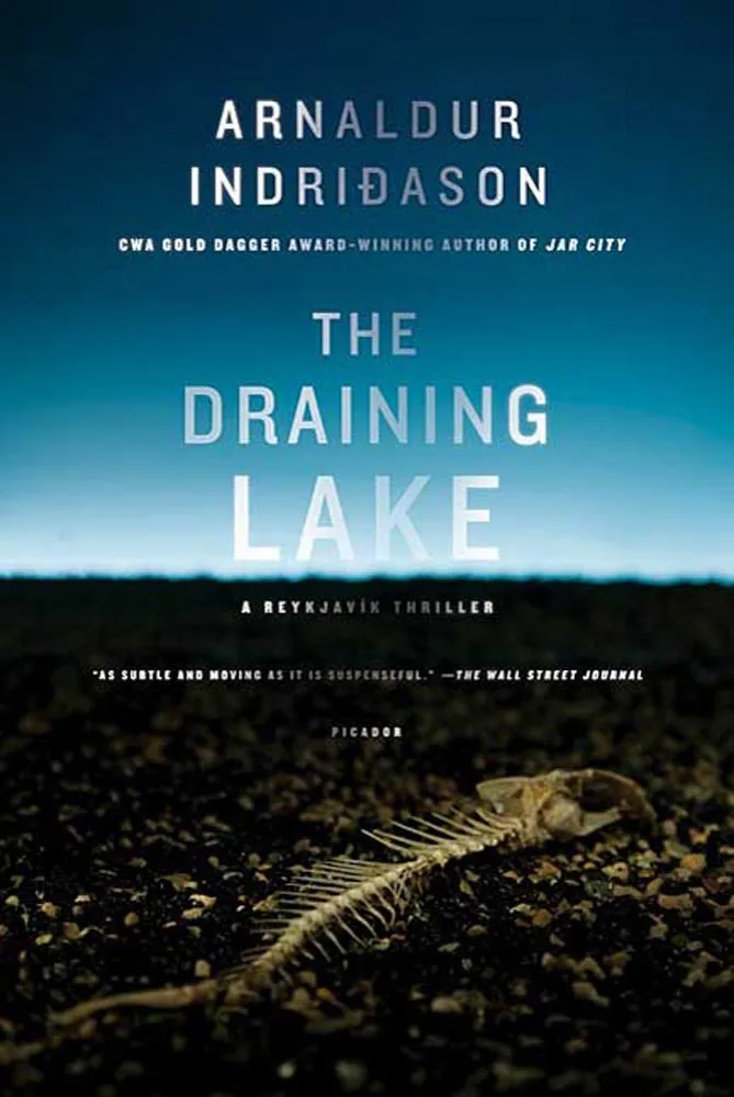 The Draining Lake (2007)