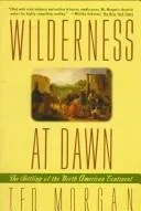 Wilderness at dawn (1993)