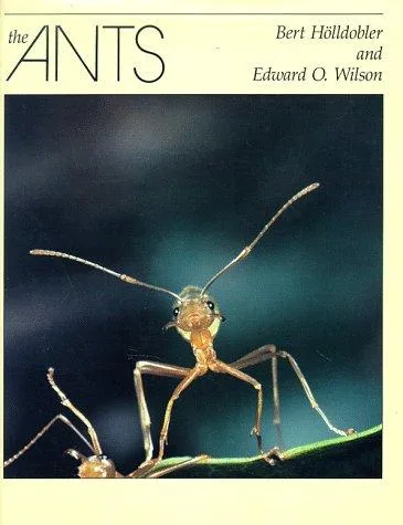 The ants (1990)