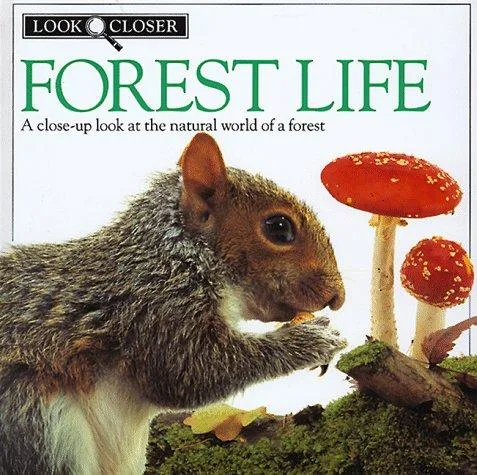 Forest life (1993)