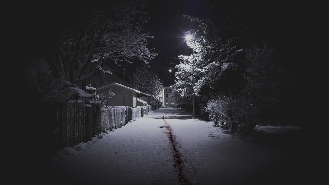The Valhalla Murders (2019)