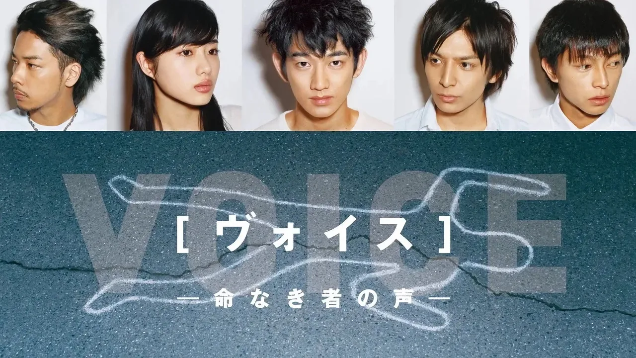 Voice (2009)