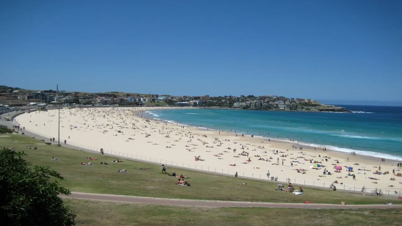 Bondi Rescue (2006)