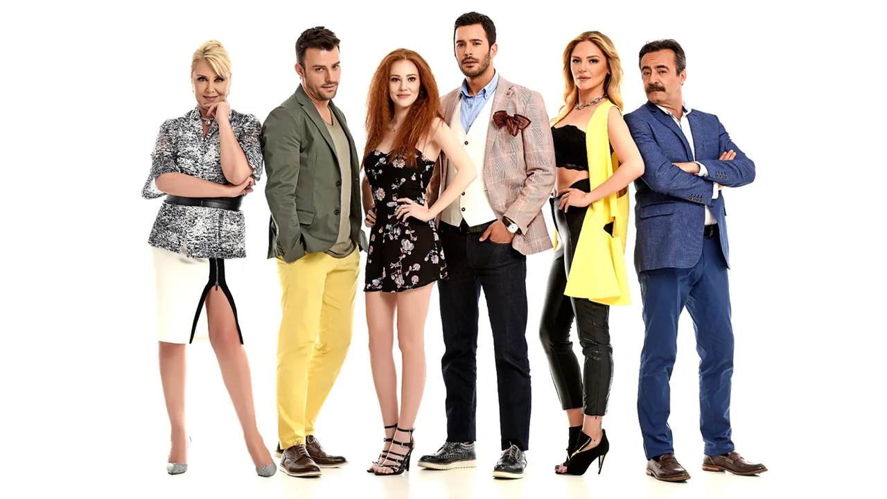 Love for Rent (2015)