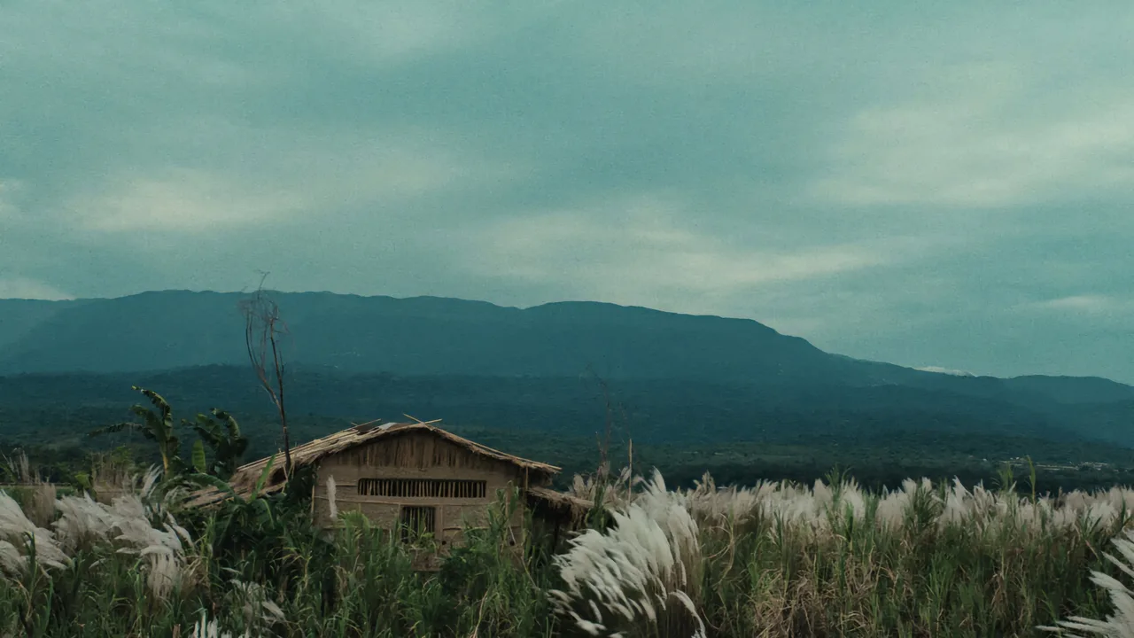 Roid (2026)