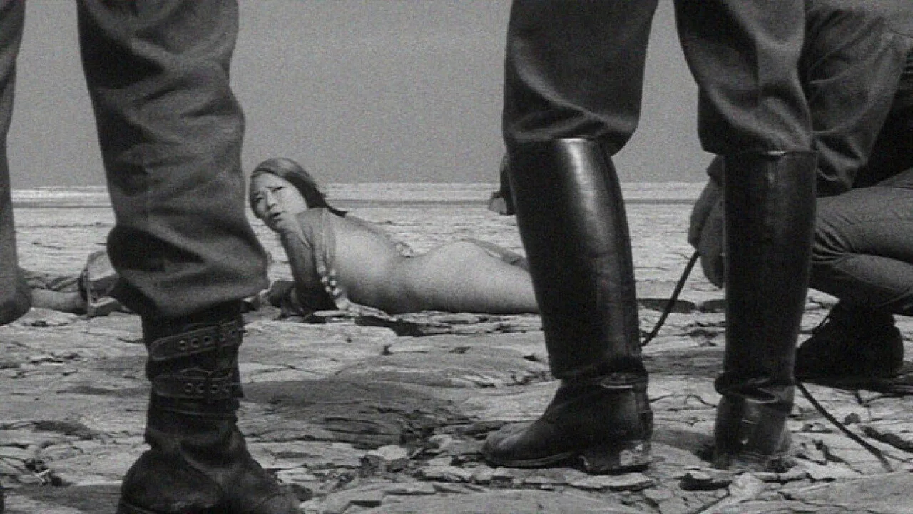 Japanese Summer: Double Suicide (1967)