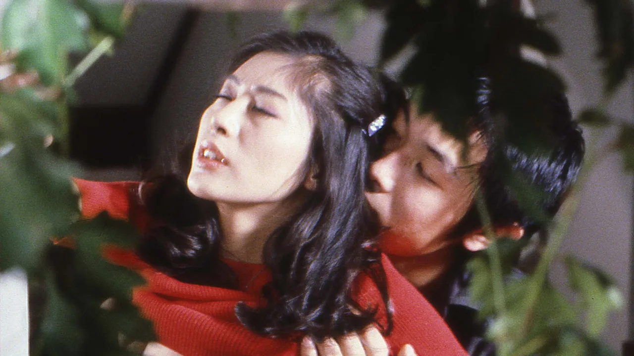 Beautiful Sisters: Seduced (1982)