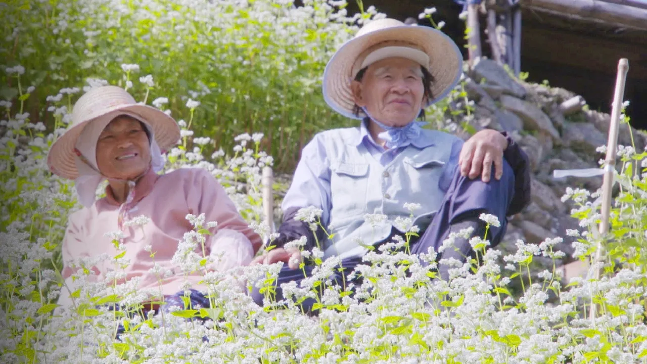 Hometown Stories (2011)
