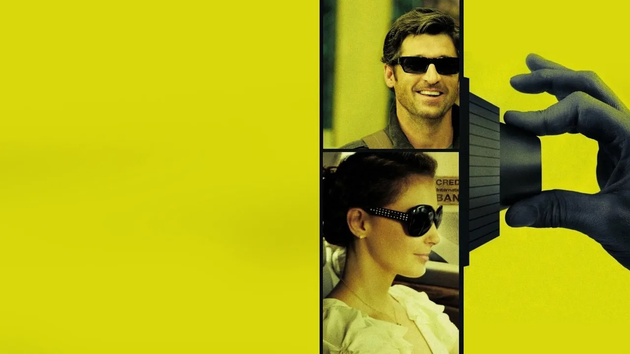 Flypaper (2011)