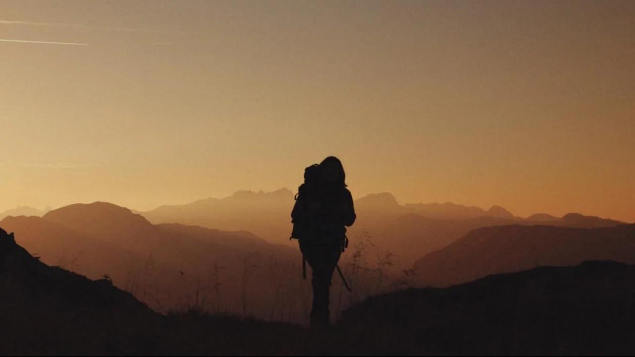 The Trail (2024)