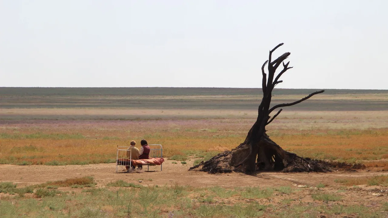 Test (2014)