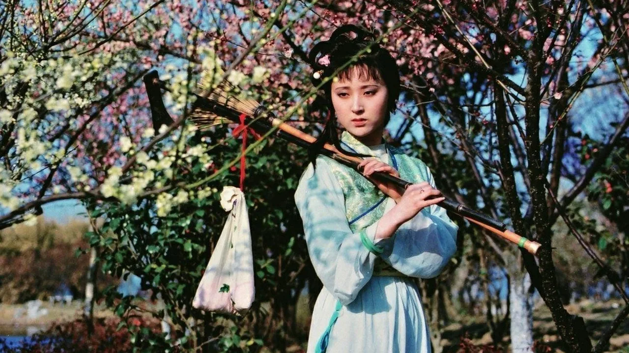 Dream in Red Mansions (1987)
