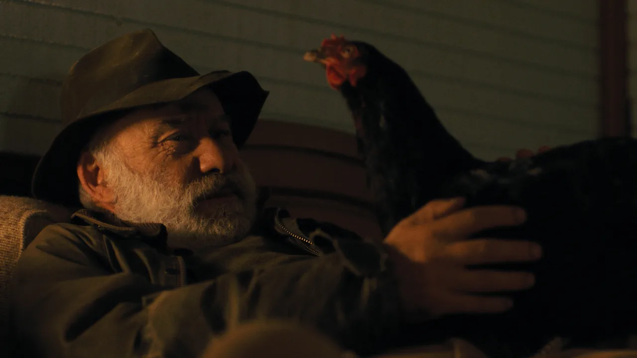 Hen (2026)