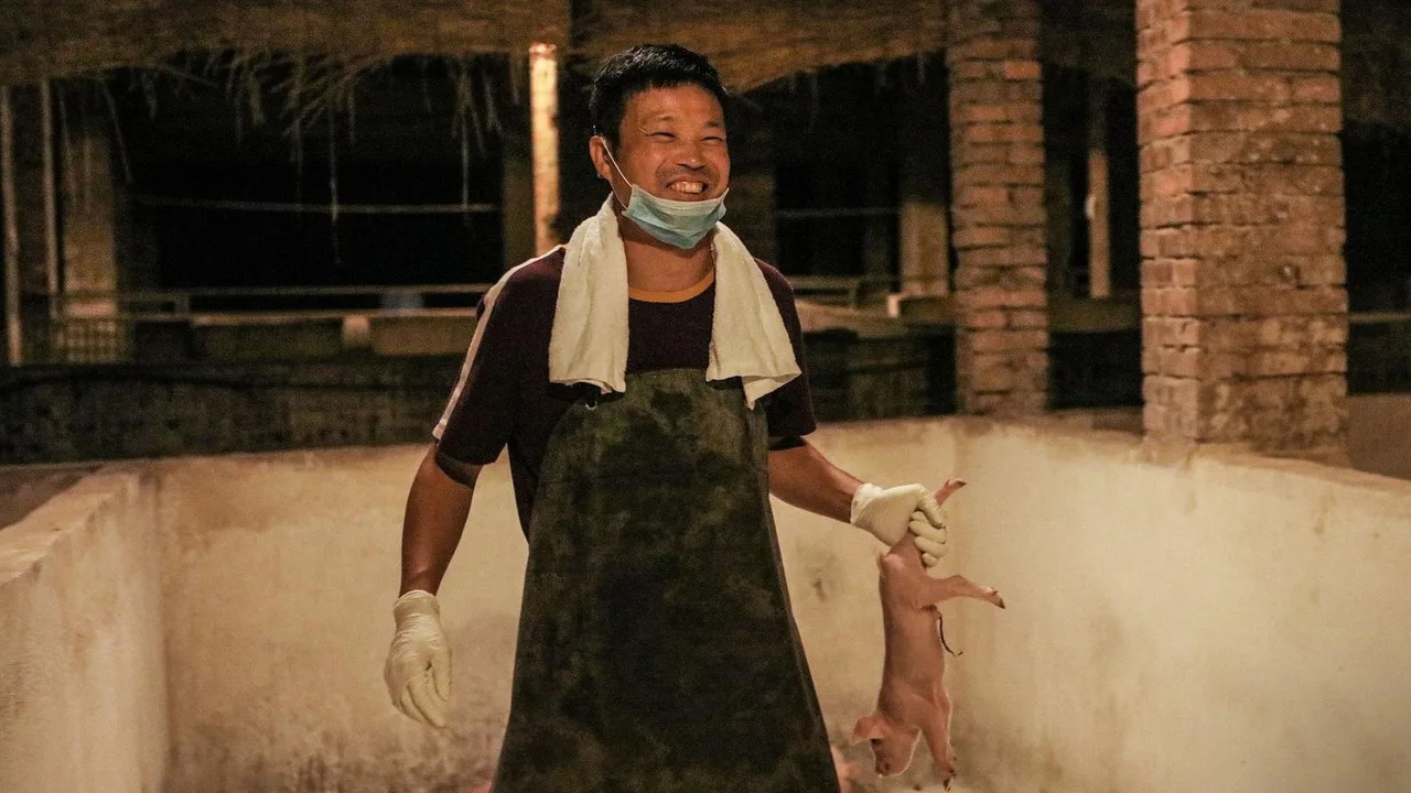 The River of Fury (2025)