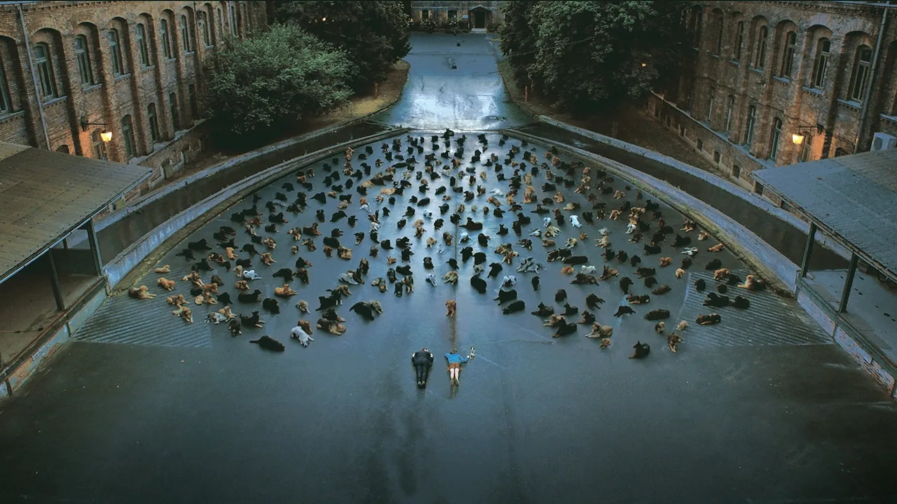 White God (2014)
