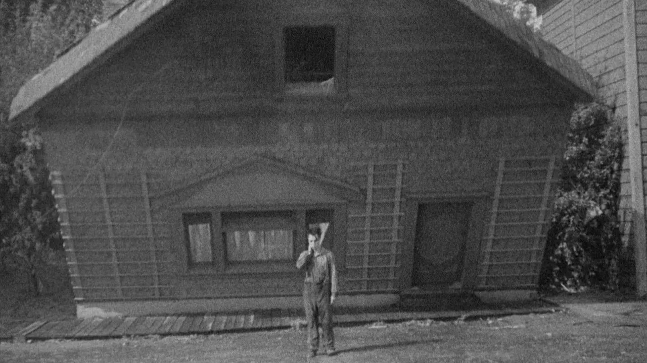 Steamboat Bill, Jr. (1928)