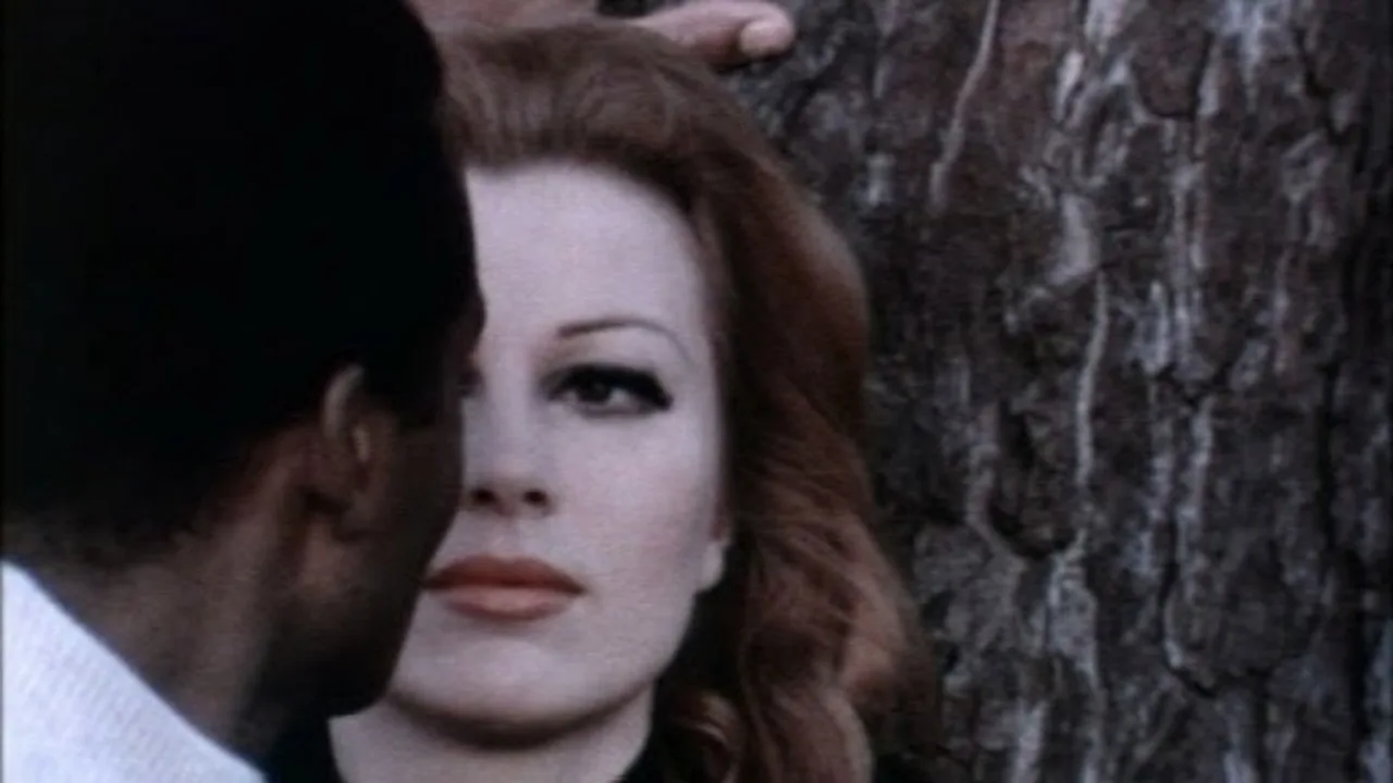 Attraction (1969)