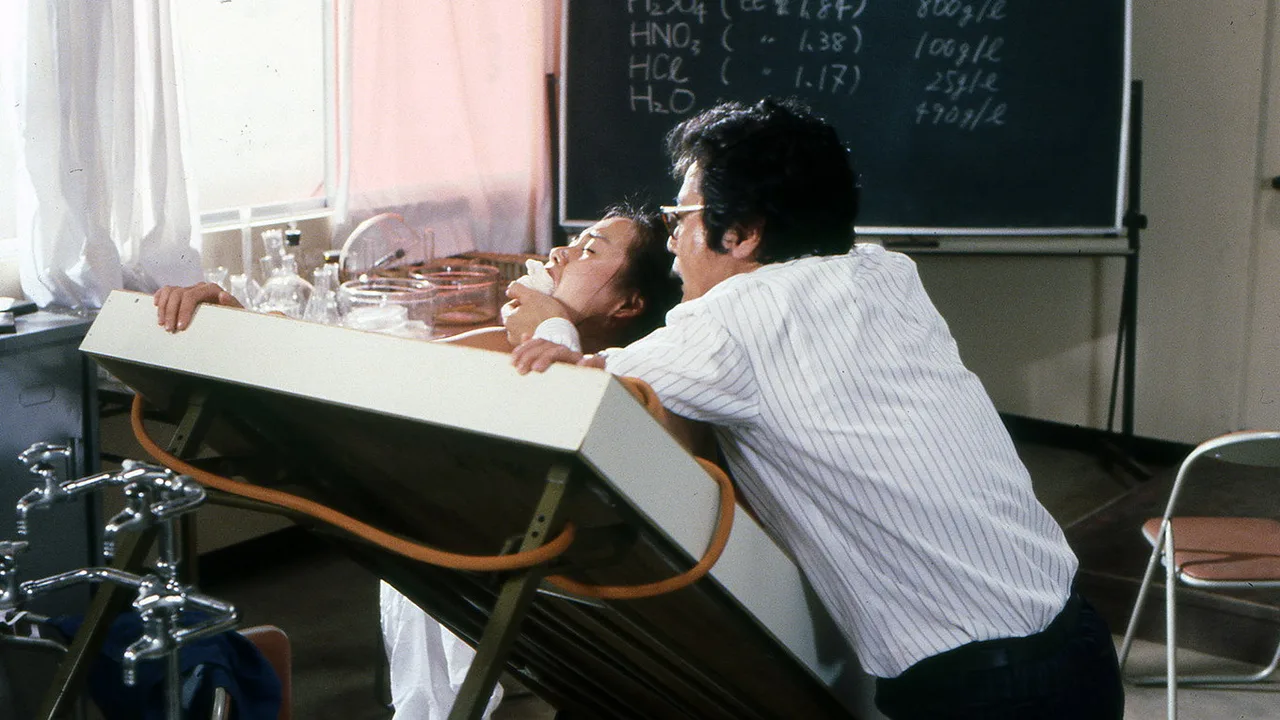 Pleasure Campus: Secret Games (1980)