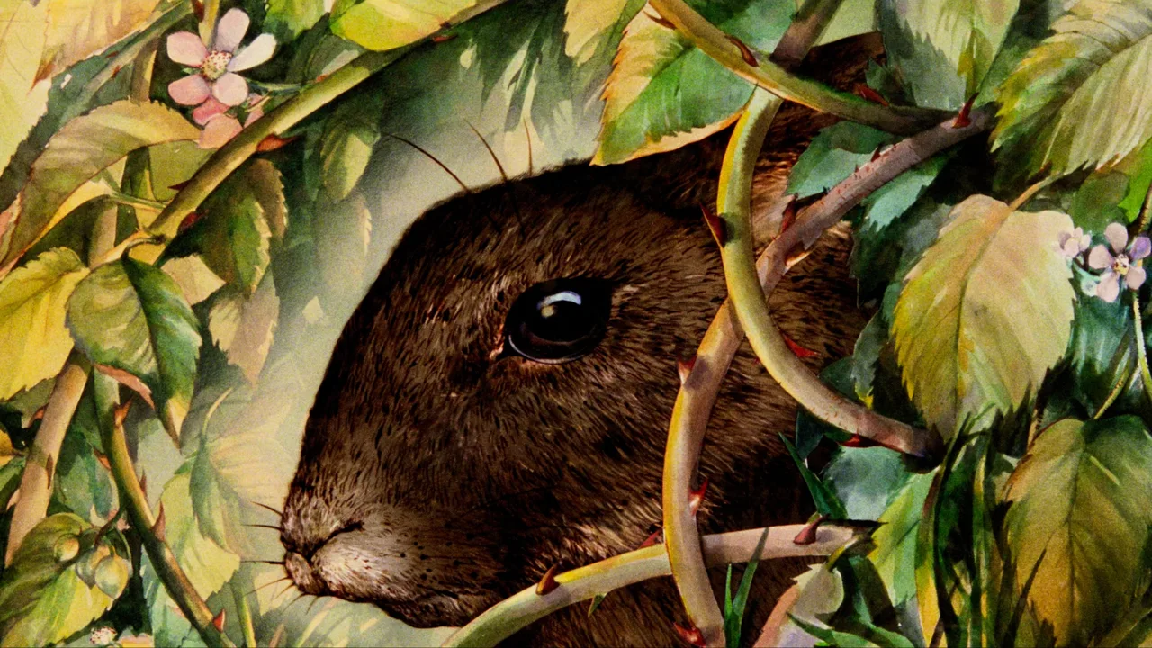 Watership Down (1978)