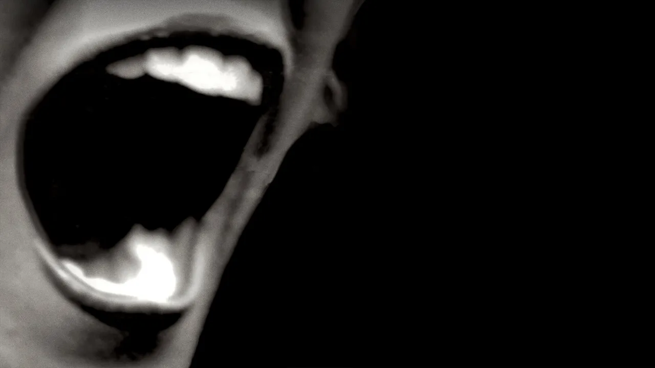 Silent Scream (1979)