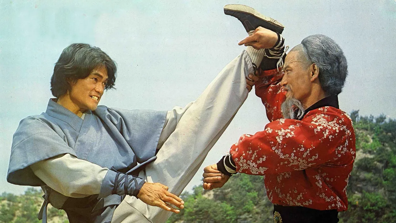 Death Duel of Kung Fu (1979)