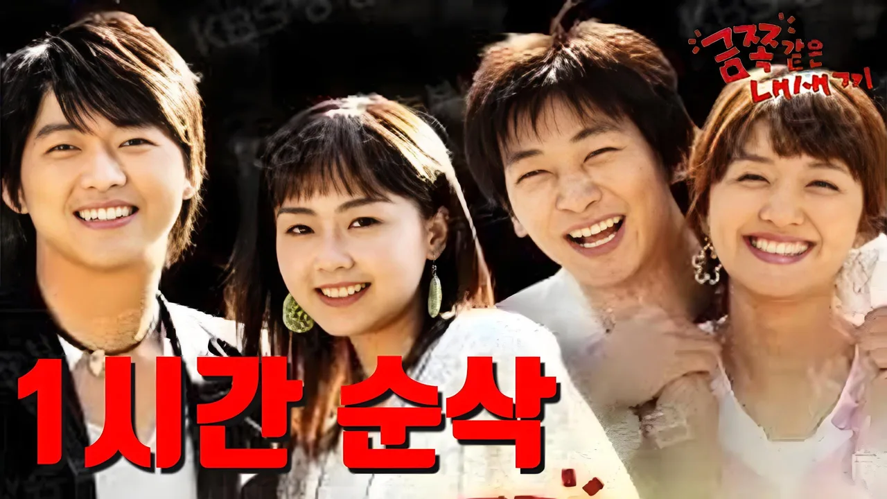 My Lovely Family (2004)