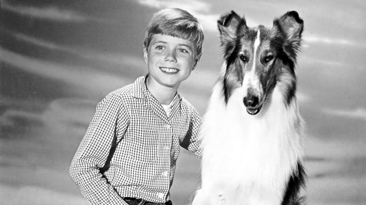 Lassie (1954)