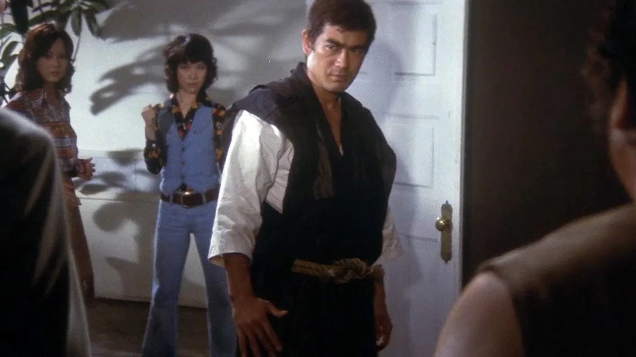 Sister Street Fighter (1974)