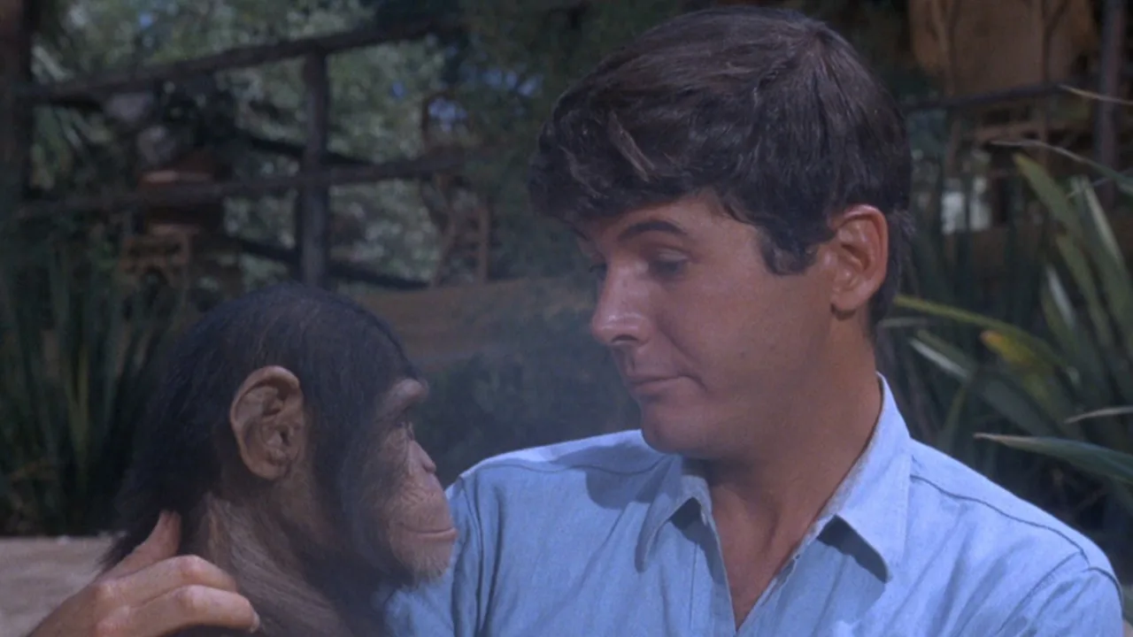 Daktari (1966)