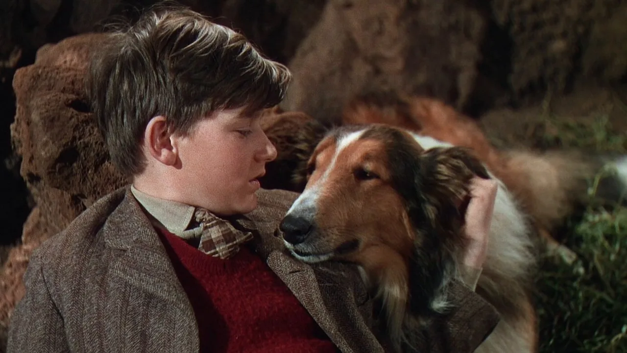 Lassie Come Home (1943)